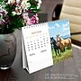 2026 BrownTrout Horse Lovers 7.5" x 6" Monthly Desk Calendar (9798330703685)~#|#~0EA3BB9B-693F-4BBD-B26C29F6359B20D1_sc7