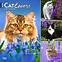 2025 BrownTrout Cat Lovers 12" x 12" Monthly Wall Calendar (9781975476793)~#|#~0F03E5A8-A6E9-4C52-B95A7BA2A9B893B5_sc7