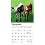 2026 BrownTrout Baby Moo Moos 7" x 7" Monthly Wall Calendar (9798330702275)~#|#~0F8B6882-72AE-4CFE-9686BD60A5C07641_sc7