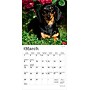 2026 BrownTrout Dachshunds 7" x 7" Monthly Wall Calendar (9798330703111)~#|#~0FB15CC0-AFED-4E9C-8CA81CD7E389772E_sc7