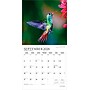 2026 Plato Hummingbirds 12" x 12" Monthly Wall Calendar (9798330706860)~#|#~101BC0A1-C7CC-4856-AE63B572D758F0B9_sc7