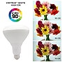 Viribright 16 Watts Warm White LED Flood & Spot Bulb, 4/Pack (654654-4)~#|#~103FFE5A-C6A5-45BA-B2B887AEEF9CBA50_sc7