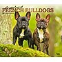 2026 BrownTrout For the Love of French Bulldogs 14" x 12" Monthly Wall Calendar (9798330707201)~#|#~10BAD7D1-0886-44E2-80839A4C42615E50_sc7