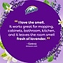 Fabuloso Multi-Purpose Cleaner, Lavender Scent, 56 oz., 6/Carton (153041CT)~#|#~10CBDCBD-B9B9-4D06-863B0C44EF992027_sc7