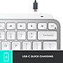 Logitech MX Keys Mini Wireless Ergonomic Keyboard, Pale Gray (920-010473)~#|#~110E11EF-E7A6-456A-A0F3B9AC41C48F24_sc7