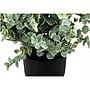Monarch Specialties Inc. Eucalyptus and Grass in Pots, 2/Pack (I 9580)~#|#~1164C39D-D288-459E-A2B495DDA051EF41_sc7