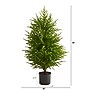 Nearly Natural Norfolk Island Pine Natural Look Artificial Tree, 40" (T1510)~#|#~124EE677-F379-48BF-93B9891B6B7CD815_sc7