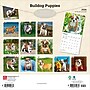 2026 BrownTrout Bulldog Puppies 12" x 12" Monthly Wall Calendar (9798330702664)~#|#~12B53B68-06BC-4EE4-8795ADCE2BFE9834_sc7