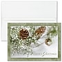 Customizable "Frosted Pine Cones" Holiday Card, Blank Inside, w/ Unlined White Fastick Env, 400/Box~#|#~136E1047-B33E-4938-9C758399061D01B0_sc7