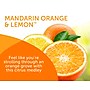 Bright Air Moisture Absorber Air Freshener & Deodorizer Beads, Mandarin Orange & Fresh Lemon Scent, 14 oz. (901337)~#|#~137A5F7F-B027-442E-A4E4653940137439_sc7