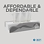 Pacific Blue Basic Facial Tissue, 2-ply, 100 Tissues/Box, 30 Boxes/Pack (47410)~#|#~138AAD8E-ECC0-468A-BE9AA0DB890AA4AB_sc7