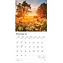 2026 BrownTrout Psalms 12" x 12" Monthly Wall Calendar (9798330705207)~#|#~144C368F-F07D-4B09-B9B0B93963D53FD3_sc7