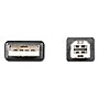 Innovera® USB Cable, 6 ft, Black~#|#~145595B7-DCC8-4534-8EBB5BE97B790DBC_sc7