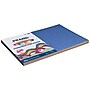 Prang 12" x 18" Construction Paper, Assorted Colors, 100 Sheets/Pack, 3 Packs/Bundle (PAC94460-3)~#|#~14700136-CFA8-41DD-A5A483A086153494_sc7