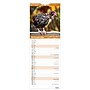 2026 BrownTrout Chickens 5.88" x 16.5" Monthly Wall Calendar (9798330702893)~#|#~148A5F4F-2698-4731-A517EDB9A74A13B3_sc7