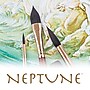 Princeton Neptune Short Handle Watercolor Synthetic Round Brush, 2/Pack (PBXP4750R6-2)~#|#~1556C095-995D-4041-8141946026B712CC_sc7