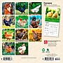 2026 BrownTrout Chickens 7" x 7" Monthly Wall Calendar (9798330702879)~#|#~159B693A-CC48-4585-915C1476948CEADB_sc7