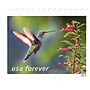 USPS Garden Delights Forever 20 Postage Stamps (FOR-GARDENDE-20)~#|#~15CB0FFC-1508-438B-994E6972BD3ABE88_sc7