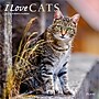 2026 Plato I Love Cats 12" x 12" Monthly Wall Calendar (9798330706808)~#|#~15FAF82A-B0BB-48AA-B29C7C7232F432AD_sc7