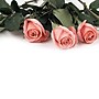 Great Papers! Pink Rose Petals Letterhead, Multicolor, 80/Pack (2013192)~#|#~160454F2-9E2A-459B-873D4FAF38A8B602_sc7