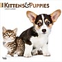 2026 BrownTrout Kittens & Puppies 12" x 12" Monthly Wall Calendar (9798330704101)~#|#~1623CC75-E92B-4DE3-9FC0F6F1C3EDEA82_sc7