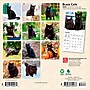 2026 BrownTrout Black Cats 7" x 7" Monthly Wall Calendar (9798330702473)~#|#~166FDC9C-6184-41E0-BEFBFCE8DC984E24_sc7