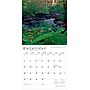 2026 BrownTrout Rhode Island Wild & Scenic 12" x 12" Monthly Wall Calendar (9798330705320)~#|#~17870B83-6480-4BBF-A8E4B487FF0C92A2_sc7