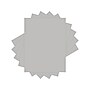 Lettermark Colors 30% Recycled 8.5" x 11" Color Copy Paper, 20 lbs., Gray, 5000/Carton (94302)~#|#~18C621D0-2E66-43F3-9BB30800A4E38419_sc7