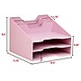 Staples 5-Compartment Plastic Desktop Organizer, Dusty Pink (ST63874)~#|#~18D7F3A8-3D21-4CDE-862BC446EEC89F1B_sc7