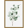 Amanti Art Tender Sprout II (Eucalyptus) by Eva Watts Framed Canvas Wall Art Print, 16" x 23" (A42675040761)~#|#~1912F0A2-0CAA-4975-95CA44393C63C432_sc7