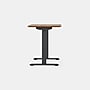 Branch Duo 48"W Electric Adjustable Standing Desk, Walnut/Charcoal (10-10-05-32)~#|#~192436D0-E854-41B1-89E54657AEF132EC_sc7