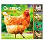 2026 BrownTrout Chickens 6.06" x 5.13" Day-to-Day Calendar (9798330702855)~#|#~19CCDF88-D141-4D02-8854021E61ADD219_sc7