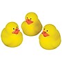 Party City Mini Rubber Ducks, 16/pack (AM3901936-NS)~#|#~1AEEE722-D03A-49C8-A4FF8A14AF7BCDF0_sc7