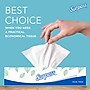 Surpass Standard Facial Tissue, 2-Ply, 100 Sheets/Box, 30 Boxes/Pack (21340)~#|#~1AF4E771-E20C-4826-87264BB4EA7D6494_sc7