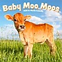 2026 BrownTrout Baby Moo Moos 12" x 12" Monthly Wall Calendar (9798330702282)~#|#~1B56C150-733C-46CA-8FCA2A71534E3403_sc7