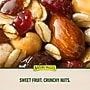 Nature Valley Chewy Fruit and Nut Trail Mix Bars, 1.2 oz., 48 Bags/Pack (GEM19696)~#|#~1B7121E7-D8FA-4173-A3B952E0E5C51845_sc7