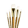 Princeton RealValue Short Handle Mixed Media Synthetic Taklon Variety Brush Set, 5/Set, 2 Sets/Bundle (PBXPR9144-2)~#|#~1B9D5A17-087C-4F52-9101CCF0736DC578_sc7