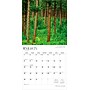 2026 BrownTrout South Dakota Wild & Scenic 12" x 12" Monthly Wall Calendar (9798330705665)~#|#~1C010AE4-2A8A-4BCB-8AD03F99FD5FC66A_sc7