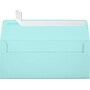 JAM Paper #10 Self Seal Booklet Envelopes, 4 1/8" x 9 1/2", Seafoam Blue, 50/Pack (LUX-4860-113-50)~#|#~1C99A9F8-527A-4926-BFD3A4AEA6AE34BB_sc7