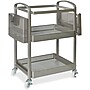 Lorell 2-Shelf Metal Mobile File Cart with Caster Wheels, Champagne Gold (LLR45654)~#|#~1D5AAD62-ABCE-4D85-BB3C73D526DD4F15_sc7
