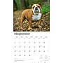 2026 BrownTrout For the Love of Bulldogs 14" x 12" Monthly Wall Calendar (9798330707133)~#|#~1D7E3F65-559A-433B-B1E6412F769075A2_sc7