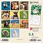 2026 BrownTrout Baby Animals 7" x 7" Monthly Wall Calendar (9798330702237)~#|#~1D899A41-C9AF-45ED-911114CBA2DE9322_sc7