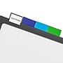 Staples Better Print & Apply Label Plastic Divider, 8 Tabs, Assorted Colors, 1 Set (ST23281/23281)~#|#~1D93C731-12F6-4703-8FEC6CEB07A11DFA_sc7