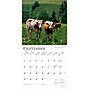 2026 BrownTrout Switzerland 12" x 12" Monthly Wall Calendar (9798330705757)~#|#~1DA442AD-CA32-4E00-ADF7A52696DAD490_sc7