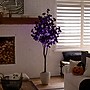 Nearly Natural Pre-Lit Artificial Halloween Black Eucalyptus Tree, 6' (T5223)~#|#~1DD4C235-4D9A-420F-8483E10F7F5C52F9_sc7