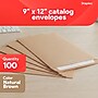 Staples Clasp & Moistenable Glue #10 Catalog Envelope, 9" x 12", Natural Brown, 100/Box (ST19964-CC)~#|#~1DDCB35A-EEAF-440E-ADCCEA00C7EC64D0_sc7
