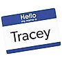 Avery "Hello My Name Is" Name Badge Labels, 2 1/3" x 3 3/8", White w/ Blue Hello, 100 Labels Per Pack (5141)~#|#~1DE80E63-3888-4315-BBEB304F46771727_sc7