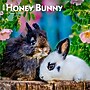 2026 BrownTrout Honey Bunny 12" x 12" Monthly Wall Calendar (9798330703654)~#|#~1E655A2C-7DA9-47D1-9807D72ECB3D38A2_sc7