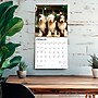 2026 BrownTrout Old English Sheepdogs 12" x 12" Monthly Wall Calendar (9798330704989)~#|#~1EA25140-CC5D-4C1E-A5E736538D29ECBC_sc7