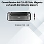 Canon 42 Photo Magenta Standard Yield Ink Cartridge (6389B002)~#|#~1EB57154-CD46-4FC3-8CD60DAE84A35A15_sc7